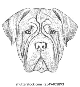 Cara de perro, Vector dibujado a mano, estilo gráfico, ilustración de dibujos animados, blanco y negro, estilo de boceto