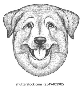 Cara de perro, Vector dibujado a mano, estilo gráfico, ilustración de dibujos animados, blanco y negro, estilo de boceto