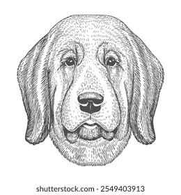 Cara de perro, Vector dibujado a mano, estilo gráfico, ilustración de dibujos animados, blanco y negro, estilo de boceto