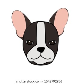 dog face icon design and symbol. dog face illustration and vector.