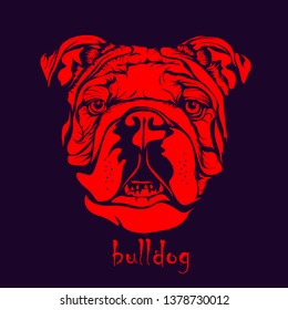 dog face illustration