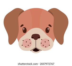 dog face illustration over white