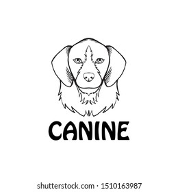 dog face logo. canine logo. dog line art illustration