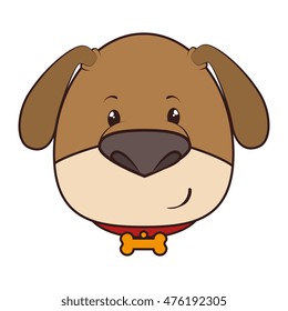 dog  face mascot bone collar puppy animal adorable cartoon mascot character vector illustration