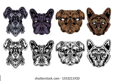 Dog face miniature schnauzer, french bulldog, pug, shepherd vintage retro style. Vector illustration isolated on white background. Design element for logo, badge, tattoo, banner, poster.