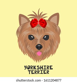 Dog face on a colored background. Breed Yorkshire Terrier. Flat picture. Illustration in the style of pop art.