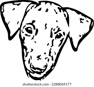 a dog face on white background