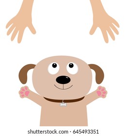 Dog face. Pet adoption. Puppy pooch looking up to human hand, paw print hug. Flat design. Help homeless animal concept. Cute cartoon character. White background Isolated Vector