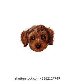 dog face pet doggy fur animal vector illustration Pet portrait detail illustration doggy puppy face
