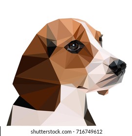 The dog face. Polygonal style