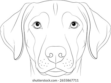 Dog face portrait in a clean outline style. Minimalist line art illustration of a dog's head. Friendly pet vector graphic, isolated on a white background.