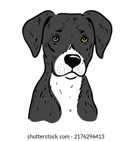 Cara de perro. Retrato vectorial de un perro. Mascotas, amantes del perro, elemento de diseño de temática animal aislado en fondo blanco.