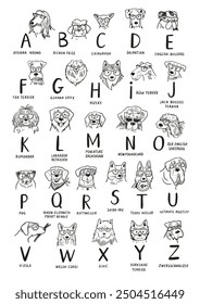 Dog faces with glasses alphabet illustrations set.