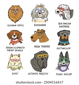 Dog faces with glasses illustrations set.