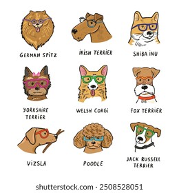 Dog faces with glasses illustrations set.