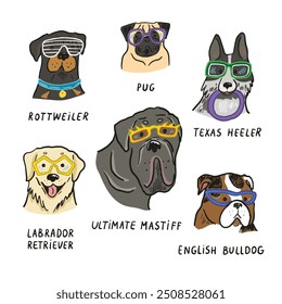 Dog faces with glasses illustrations set.