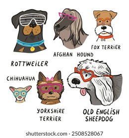 Dog faces with glasses illustrations set.