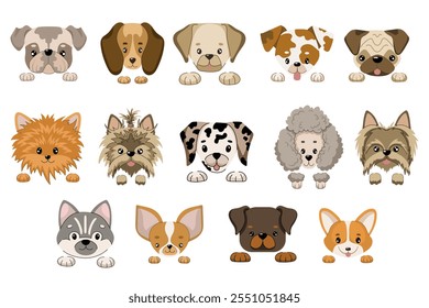 Dog faces and paws collection. Vector illustration of different breed dog heads with paws in flat style. Isolated illustrations set on white