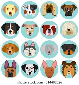 dog faces set with circle