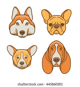 Dog faces of various breeds: basset hound, husky, corgi, french bulldog