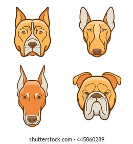 Dog faces of various breeds dobermann, bulldog, pitbull, Pit Bull Terrier 