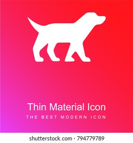 Dog Facing Right red and pink gradient material white icon minimal design