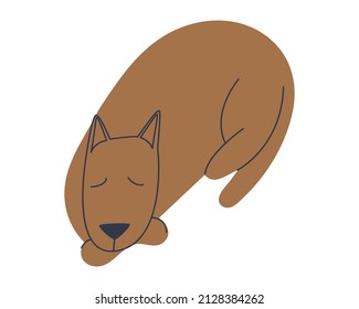 The dog is fast asleep. The pet is asleep. Isolate on a white background. Flat vector illustration. Eps10