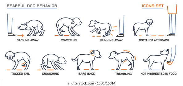 Dog Fearful Behavior Icons Set. Domestic Animal Or Pet Tail Language. Line Pictograms Collection. Doggy Reaction. Simple Icon, Symbol, Sign. Editable Vector Illustration Isolated On White Background