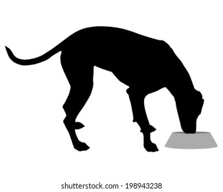 Dog feeding