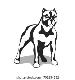 Dog of fighting breed.