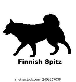 Dog Finnish Spitz silhouette Breeds Bundle Dogs on the move. Dogs in different poses.
The dog jumps, the dog runs. The dog is sitting lying down playing
