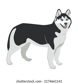 Dog flat icon. Happy pet vector illustration. Corgi, Basenji, Dachshund, malamute, Samoyed. Mammals and animals concept