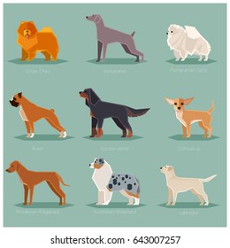 Dog flat icons set