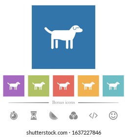 Dog flat white icons in square backgrounds. 6 bonus icons included.