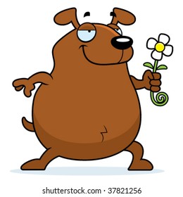 Dog Flower
