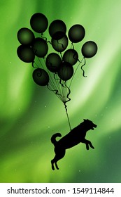 Dog flying on balloons at night. Funny vector illustration with silhouette of animal in sky. Northern lights in starry sky. Colorful aurora borealis