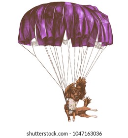 dog flying on a parachute in the air sketch vector graphics color picture