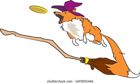 Dog flying over broom catching disc