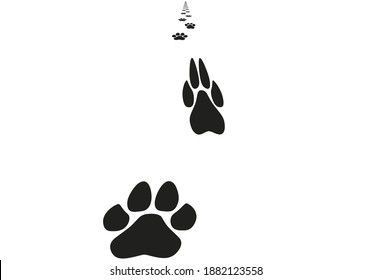 Dog foot print. vector illustration