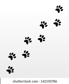 Dog footsteps