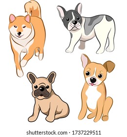 Hunde Free Hand Drawing Sammlung in Vector Illustration lustige Cartoon verschiedenen Rassen Hund in trendigem Schicksal Stil isoliert auf weiß.