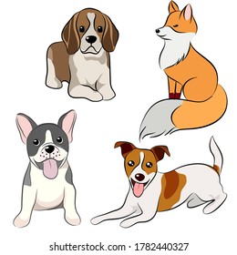 Dog Free Hand Drawing collection illustration of funny cartoon different breeds dogs in trendy flat Style. Isolated on white background.