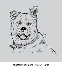 Dog Freehand Drawing Portrait
