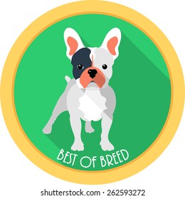 dog French bulldog best of breed medal icon flat design 