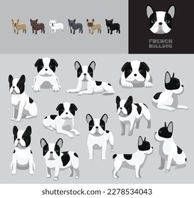 Dog French Bulldog Pied Black Coat Cartoon Vector Illustration Color Variation Set
