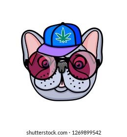 Dog french bulldog puppy in a cap and fun round glasses. Vector hand drawn illustration isolated on white background