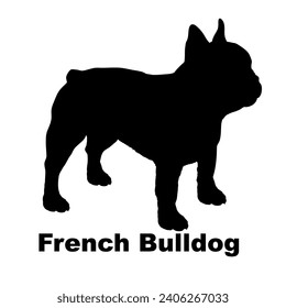 Dog French Bulldog silhouette Breeds Bundle Dogs on the move. Dogs in different poses.
The dog jumps, the dog runs. The dog is sitting lying down playing
