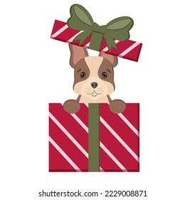 Dog French bulldog sits in gift boxes. Happy Birthday card. Cute pets for congratulation with birthday, New Year, Christmas. Illustration for dog lovers, veterinary clinics, pet shops.
