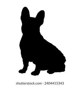 Dog French bulldog sitting silhouette Breeds Bundle Dogs on the move. Dogs in different poses.
The dog jumps, the dog runs. The dog is sitting lying down is playing
