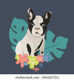 Dog French Bulldog vector flat illustration on blue with flowers. hand drawing